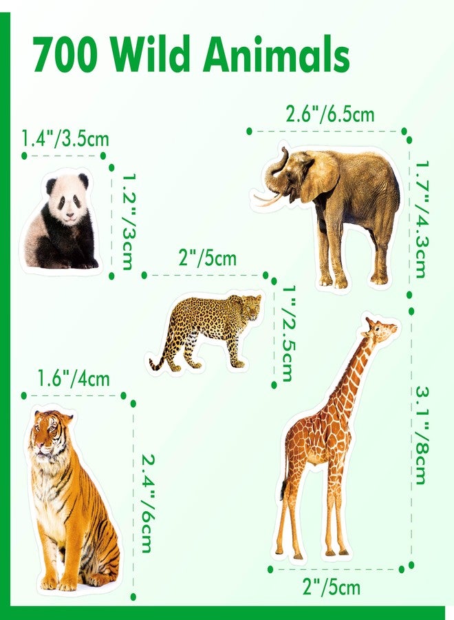 Gethelud 700 PCS Wild Animal Stickers, 100+ Realistic Animals Cute Zoo Animal Stickers Water/Tear Resistant with No Residue Washable Decals for Teachers, Kids, Students, Water Bottle, Laptop, Scrapbook - Image 2
